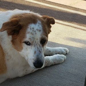 Meet your Posher, Kendra